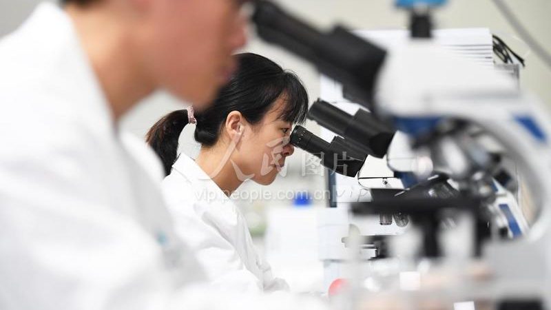 北京培养基质量哪家强？揭秘优质培养基的“秘密武器”**