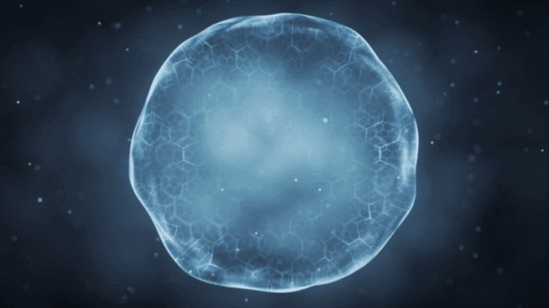 生物医药外包行业：上市公司营收对比背后的趋势解析