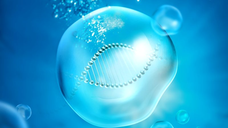 生物试剂运输不是简单“发货