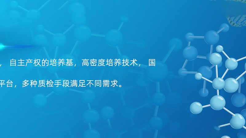 CDMO定制合成的成本构成揭秘