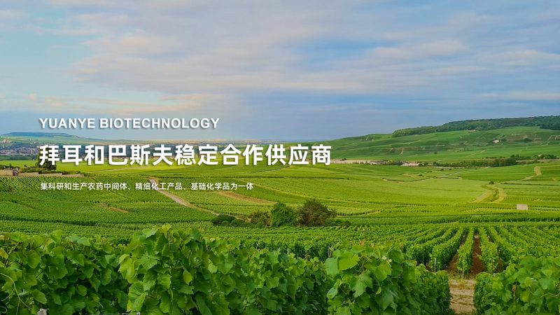 医药生物技术服务外包：揭秘价格背后的考量因素