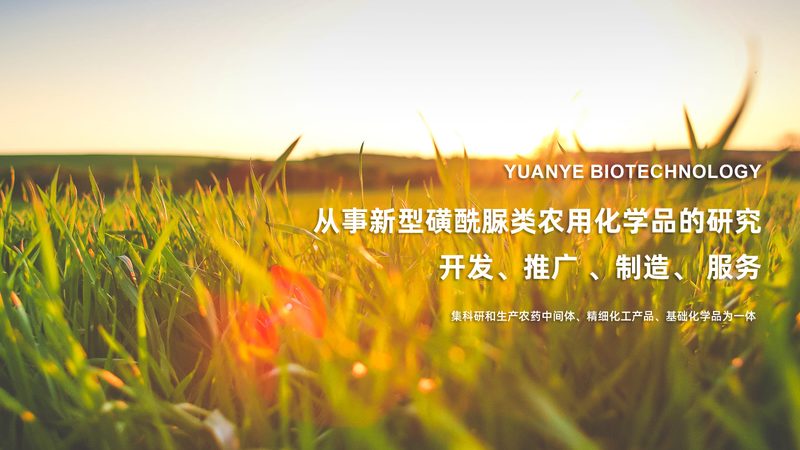 悬浮细胞培养转瓶：揭秘生物制药中的关键环节