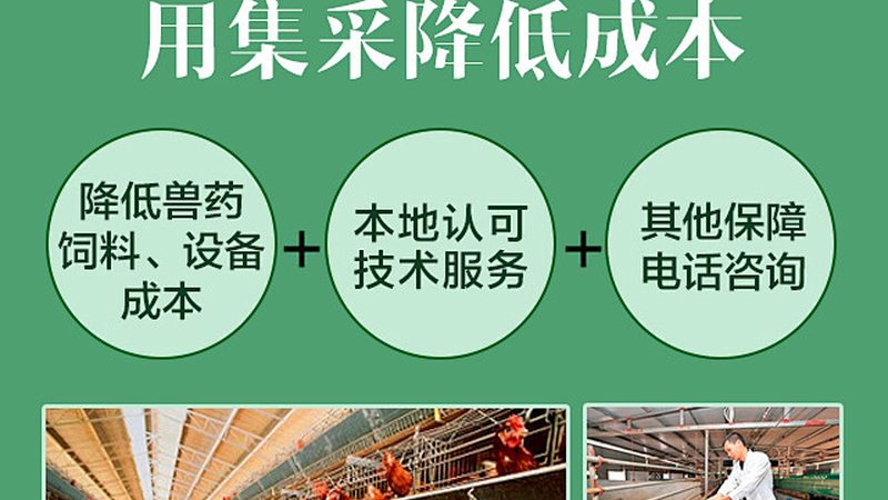 CRO优化方案定制不是越贵越好