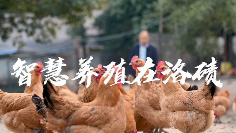 CRO优化与用户体验：在生物科技领域的关键区别