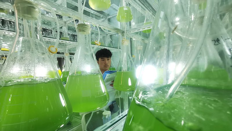 实验室生物试剂：选择与安全并重